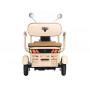 Электротрицикл Rutrike Атлас