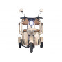 Электротрицикл Rutrike Атлас
