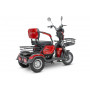 Электротрицикл Rutrike Бумеранг