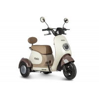 Электротрицикл Rutrike Gelbert Ogma 48V/60V 650Вт