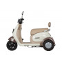 Электротрицикл Rutrike Gelbert Ogma 48V/60V 650Вт