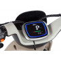 Электротрицикл Rutrike Gelbert Ogma 48V/60V 650Вт