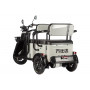 Электротрицикл Wanshida LC300 60V 1000Вт