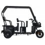 Электротрицикл Wanshida NIPLA 570 60V 1000Вт
