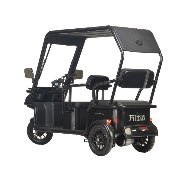 Электротрицикл Wanshida NIPLA 570 60V 1000Вт