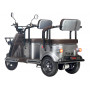 Электротрицикл Wanshida U1-X 60V 800Вт