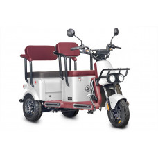 Электротрицикл Wanshida U1-X 60V 800Вт