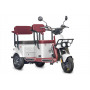 Электротрицикл Wanshida U1-X 60V 800Вт