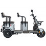 Электротрицикл Wanshida U1-X 60V 800Вт